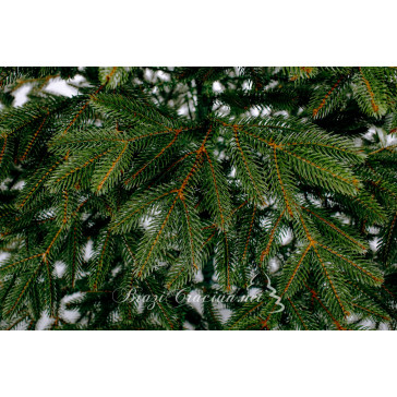 Umetno božično drevo Boreal Full 3D 180 cm