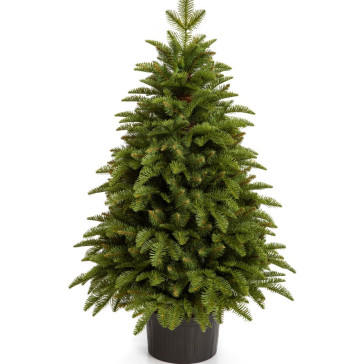 Umetno božično drevo Nobiles 100 cm